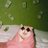 yourr_finans